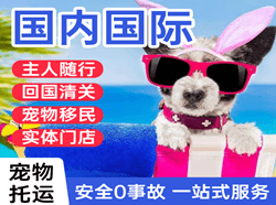 玉树巴塘航空邮寄国际宠物托运 【国
